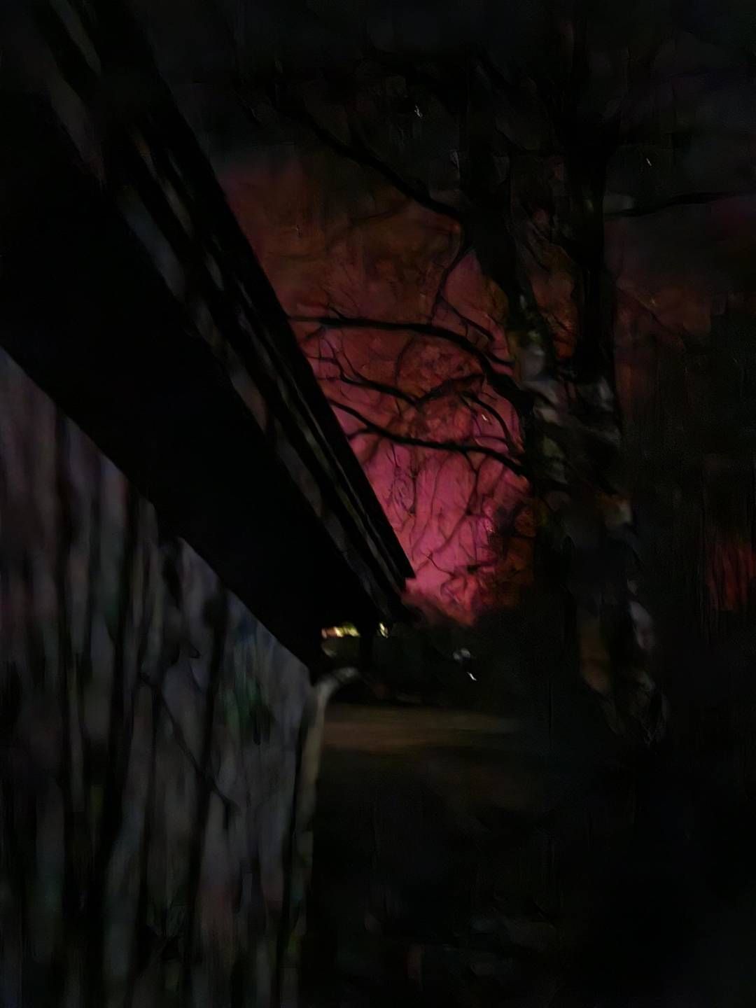 Aurora Borealis, 12.11.2025, Spittal/Drau